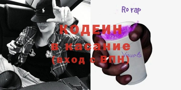 прущие грибы Абаза