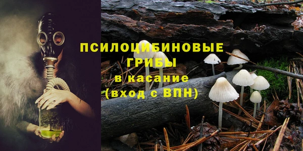 соль ск Няндома