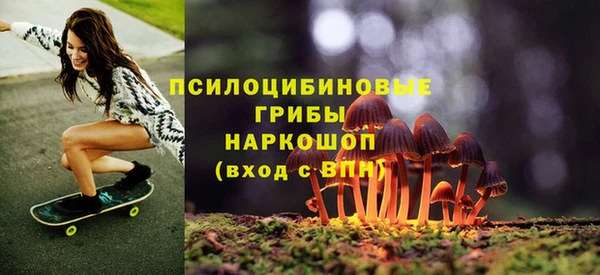прущие грибы Абаза