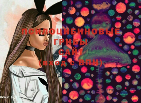 прущие грибы Абаза