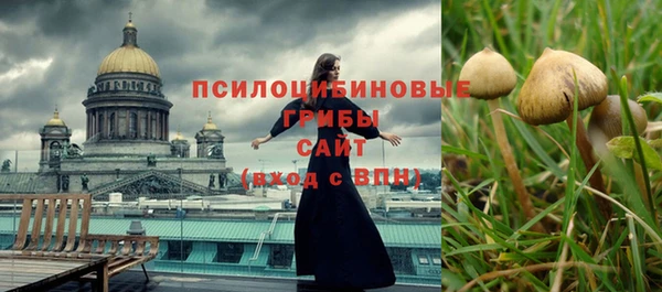 стафф Абдулино