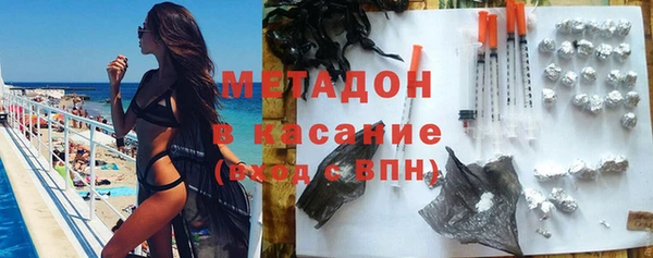 прущие грибы Абаза