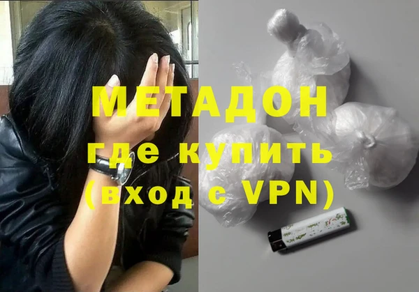 прущие грибы Абаза