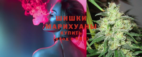 прущие грибы Абаза