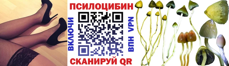 купить наркотик  Струнино  ОМГ ОМГ зеркало  Галлюциногенные грибы мицелий 